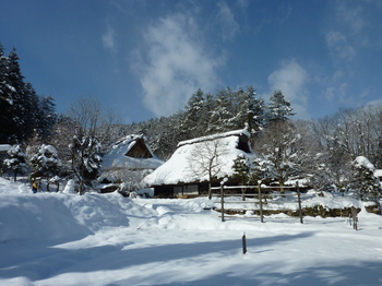 画像 377.jpg